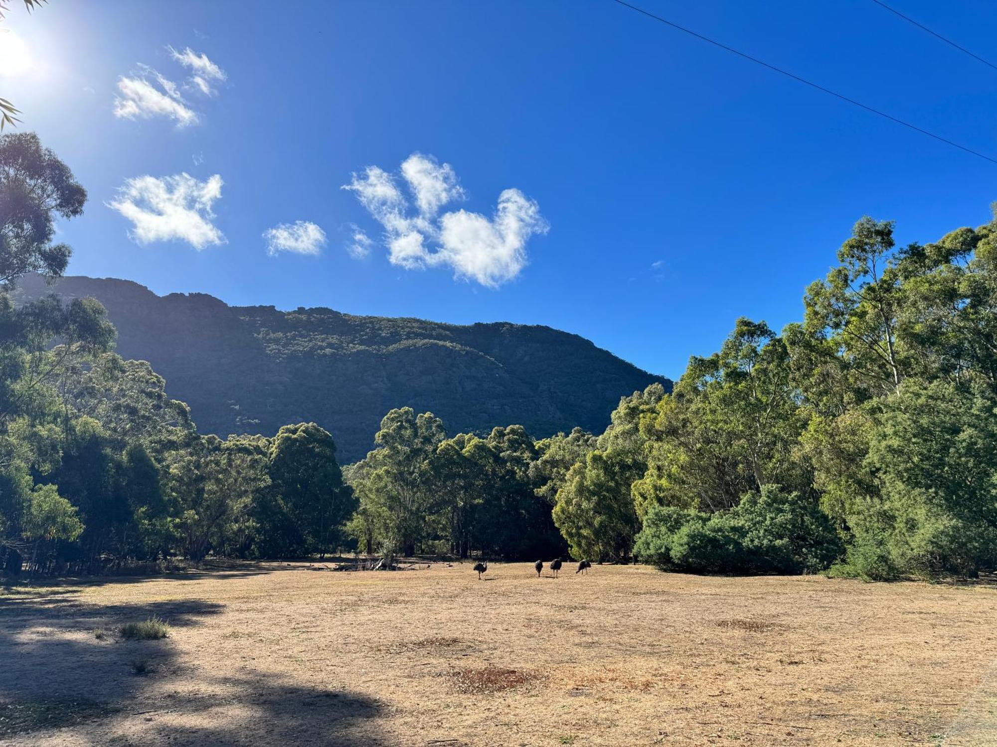 Halls Gap Log Cabins Екстер'єр фото