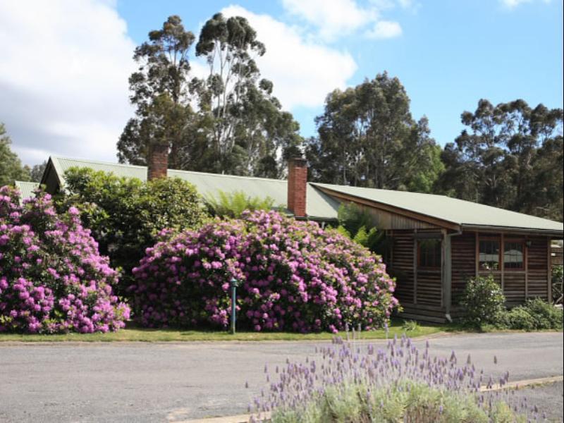 Halls Gap Log Cabins Екстер'єр фото