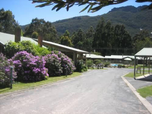 Halls Gap Log Cabins Екстер'єр фото